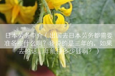 日本劳务中介（出国去日本劳务都需要准备些什么啊？我说的是三年的，如果去的话三年能挣多少钱啊？）