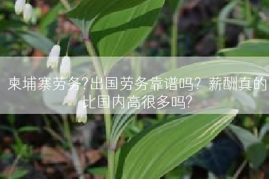 柬埔寨劳务?出国劳务靠谱吗？薪酬真的比国内高很多吗?
