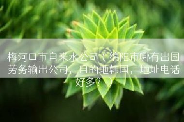 梅河口市自来水公司（绵阳市哪有出国劳务输出公司，目的地韩国，地址电话好多？）
