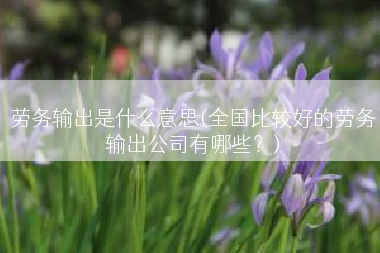 劳务输出是什么意思(全国比较好的劳务输出公司有哪些？)