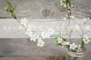 关于日本劳务派遣?有正规合法的海外劳务派遣公司吗?