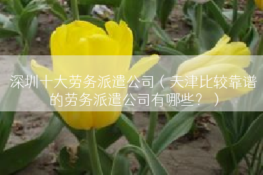 深圳十大劳务派遣公司（天津比较靠谱的劳务派遣公司有哪些？）
