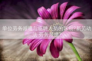 单位劳务派遣与临聘人员的区别?新劳动法 劳务派遣?