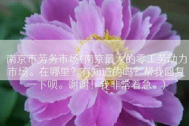 南京市劳务市场(南京最大的零工劳动力市场。在哪里？有知道的吗？帮我回复一下呗。谢谢！我非常着急。)