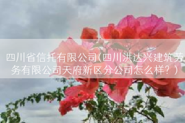 四川省信托有限公司(四川洪达兴建筑劳务有限公司天府新区分公司怎么样？)