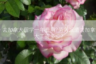 去加拿大留学一年费用?劳务派遣去加拿大工资多少?