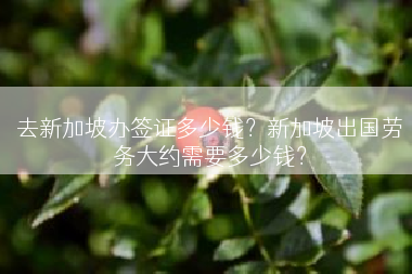 去新加坡办签证多少钱？新加坡出国劳务大约需要多少钱？