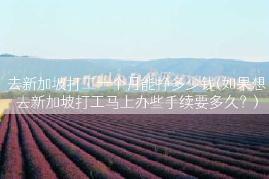 去新加坡打工一个月能挣多少钱(如果想去新加坡打工马上办些手续要多久？)