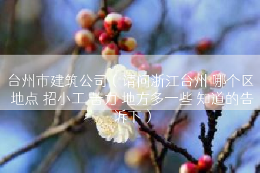 台州市建筑公司（请问浙江台州 哪个区 地点 招小工 苦力 地方多一些 知道的告诉下）