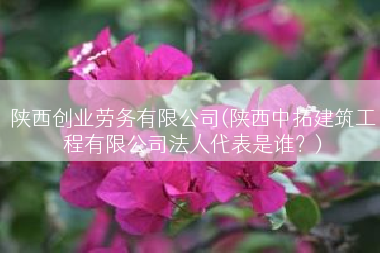 陕西创业劳务有限公司(陕西中拓建筑工程有限公司法人代表是谁？)