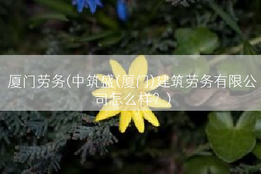厦门劳务(中筑盛(厦门)建筑劳务有限公司怎么样？)