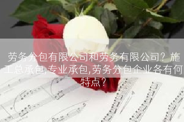 劳务分包有限公司和劳务有限公司？施工总承包,专业承包,劳务分包企业各有何特点？