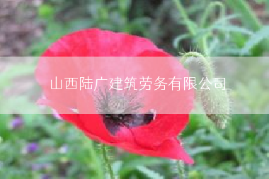 山西陆广建筑劳务有限公司