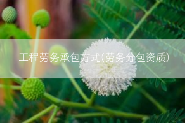 工程劳务承包方式(劳务分包资质)