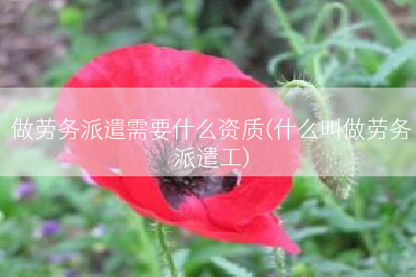 做劳务派遣需要什么资质(什么叫做劳务派遣工)