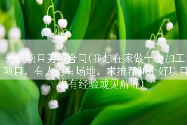 光伏项目劳务合同(我想在家做一个加工项目，有人力有场地，求推荐和个好项目，谁有经验或见解呢)