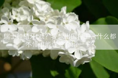 瑞士种植牙blt？我想出国打工，什么都不懂谁能详细介绍一下？