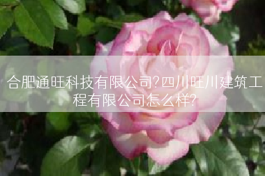 合肥通旺科技有限公司?四川旺川建筑工程有限公司怎么样?