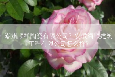 潮州顺祥陶瓷有限公司？安徽海顺建筑工程有限公司怎么样？