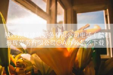 陕西振辉建筑劳务有限公司电话（陕西振辉劳务有限公司〇A办公怎么下载）