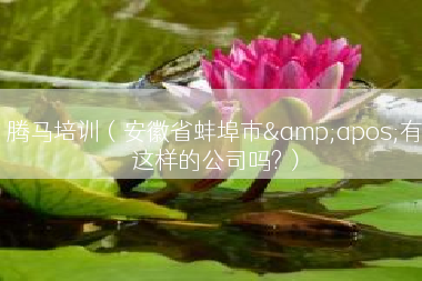 腾马培训（安徽省蚌埠市&apos;有这样的公司吗?）