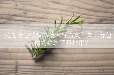 劳务分包投标书技术标方案？关于分包单位的建筑资料报审？