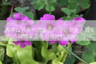 内蒙古劳务公司安全许可证需要人员（赤峰哪家劳务公司比较正规？）