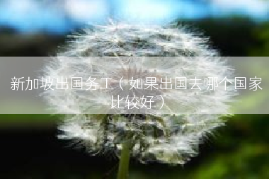 新加坡出国务工（如果出国去哪个国家比较好）