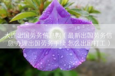 大连出国劳务信息网（最新出国劳务信息 办理出国劳务手续 怎么出国打工）