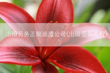 出国劳务正规派遣公司(出国劳务流程)