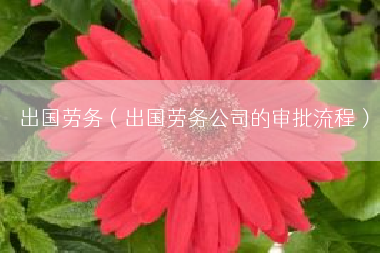 出国劳务（出国劳务公司的审批流程）