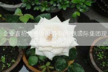 企业直招免费出国劳务(中铁国际集团现在招出国劳务吗)