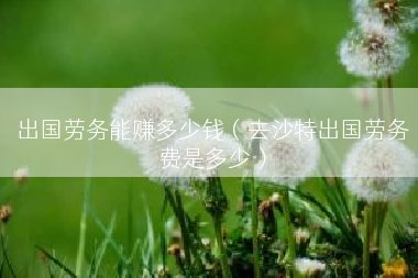 出国劳务能赚多少钱（去沙特出国劳务费是多少）