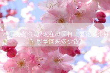出国劳务公司?现在出国打工要花多少钱？能拿回来多少钱?