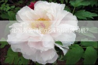 出国劳务司机a2证?出国做司机?