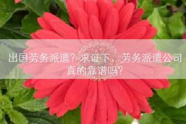 出国劳务派遣？求证下，劳务派遣公司真的靠谱吗？