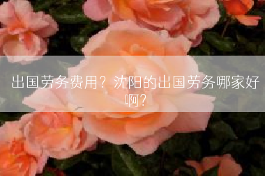 出国劳务费用？沈阳的出国劳务哪家好啊？