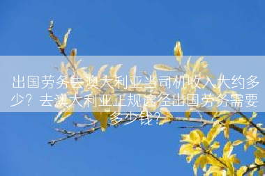 出国劳务去澳大利亚当司机收入大约多少？去澳大利亚正规途径出国劳务需要多少钱？