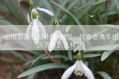 出国劳务公司补贴(出国，找泰安海华出国劳务怎么样？)