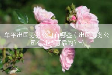 牟平出国劳务公司有哪些（出国劳务公司有哪些可靠的？）
