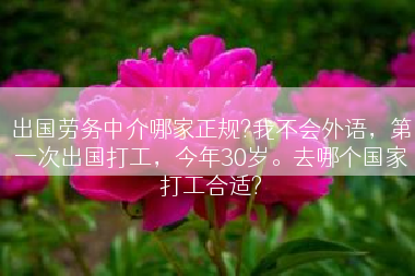 出国劳务中介哪家正规?我不会外语，第一次出国打工，今年30岁。去哪个国家打工合适?