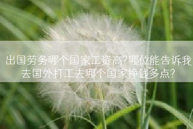 出国劳务哪个国家工资高?哪位能告诉我去国外打工去哪个国家挣钱多点?