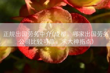 正规出国劳务中介(成都。哪家出国劳务公司比较可靠。求大神指点)