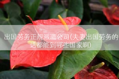 出国劳务正规派遣公司(夫妻出国劳务的话都能到哪些国家啊)