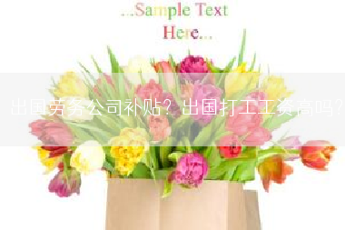 出国劳务公司补贴？出国打工工资高吗？
