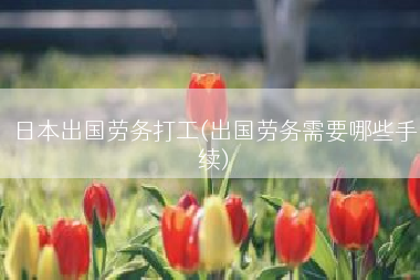 日本出国劳务打工(出国劳务需要哪些手续)