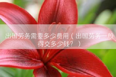 出国劳务需要多少费用（出国劳务一般得交多少钱？）