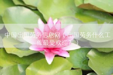 中国出国劳务信息网（出国劳务什么工作最受欢迎？）