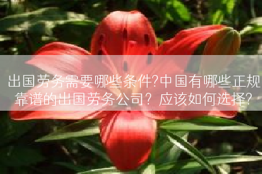 出国劳务需要哪些条件?中国有哪些正规靠谱的出国劳务公司？应该如何选择?