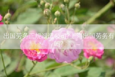 出国劳务正规派遣公司?上海出国劳务有吗?